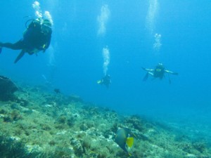 michael-s-lewis-diving-cedral-wall-experienced-diver-on-left-inexperienced-on-right-cozumel-mexico