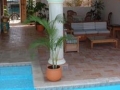 LivingDiningRm