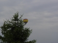 DSC00400